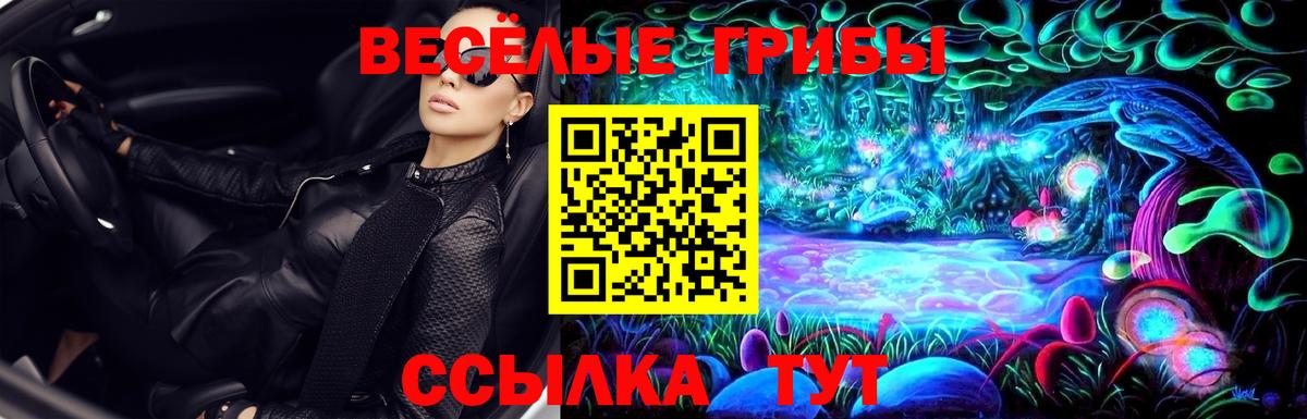 Псилоцибиновые грибы MAGIC MUSHROOMS Астрахань